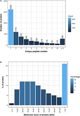 Proteomic Response of the Brain to Hypoxic Stress in Marine Medaka Fish (Oryzias melastigma)